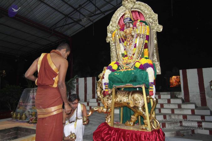 20141123 Photo 1128 16l Sq7g5euLTl9uSGCN6iz-NWy9 llqs.JPG