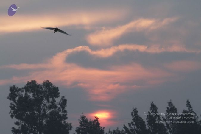 20141126 Photo 1087 1Frek4WdOlaPtmbwc-8vLNevKz6rfEluL.JPG