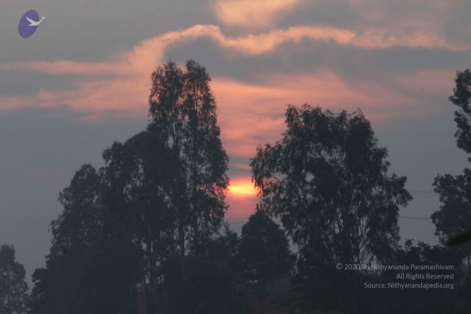 20141126 Photo 1089 1MVDyUIBmyQm8YlTcCVfAsv6aTJtbXuJD.JPG