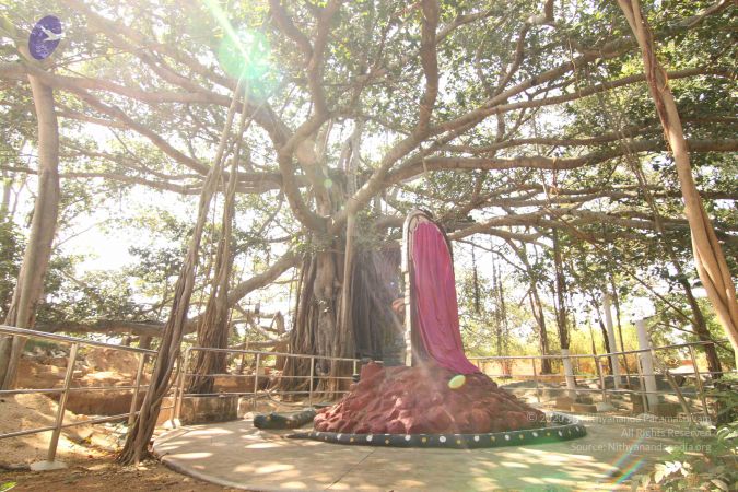 20141204 Photo 1050 1lQ0dNdqA9MV8zYacolowWu21d1j69Rl2.JPG