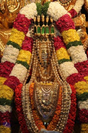 20141205 Photo 1108 18lLEYDtz1efSYi8m5Ii88YjvF9ALeW9l.JPG