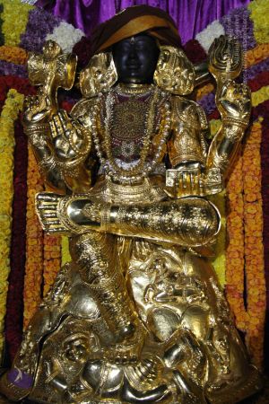 20141205 Photo 1146 1MGWjNotu6Fk1tvWpxrpiiC9JkJbG9SxF.JPG