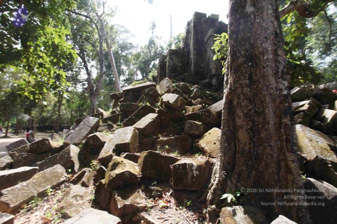 20141215 Photo 1084 1Gzpkz9FqChobsO96-t5-mGEiNeASbKgR.JPG