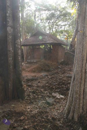 20141215 Photo 1160 1tyUoC5Ll4zp5s-6576c662CK eNvvoXS.JPG