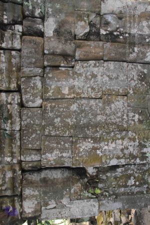 20141215 Photo 1161 1U1yvBW8lBK5oKsL9JLUfZ5rQD-gY18IE.JPG