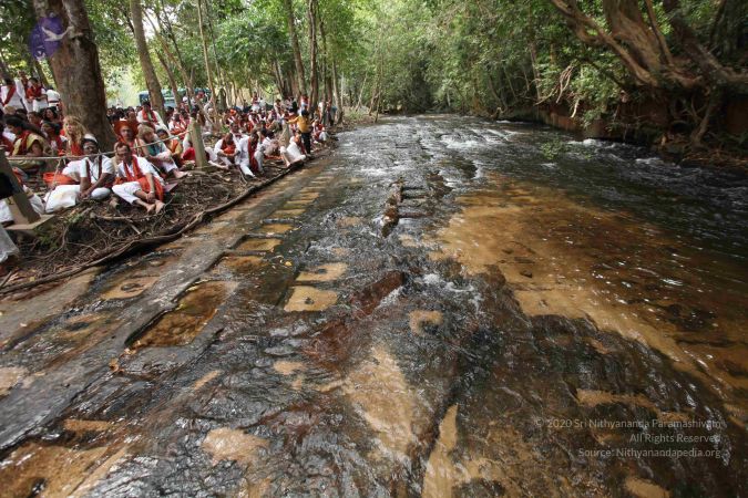 20141217 Photo 1327 1lyYQpI6ni1WwkfonspZtp14gs4ZvkT48.JPG