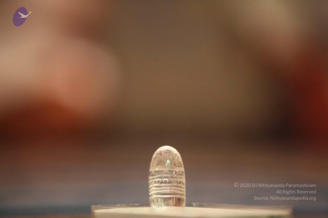 20141227 Photo 1166 1czjHw5UfkGajB0L4BXMaNRyBWxwnb5 H.JPG