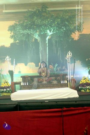 20141230IMG 0541 CMP WM010002.jpg