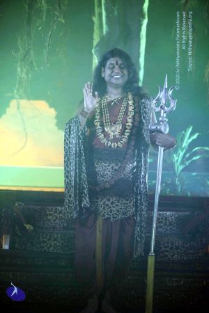 20141230IMG 1696 CMP WM010002.jpg