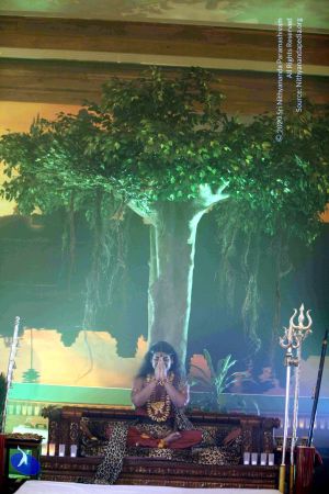 20141230IMG 1755 CMP WM010002.jpg