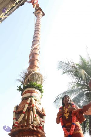 20150104 Photo 1084 1hu UTeuL17cV7Vcj0KIbC1TbWL5ib2DL.JPG