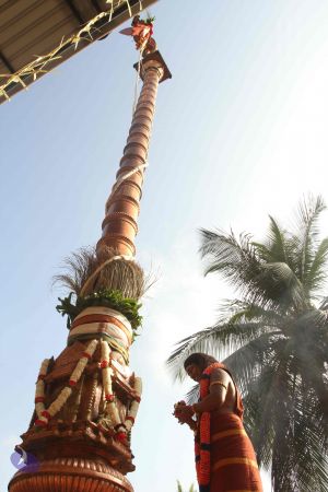 20150104 Photo 1101 1YhVUmYC fzw1x8XZCZtntT7EeKdoclI9.JPG