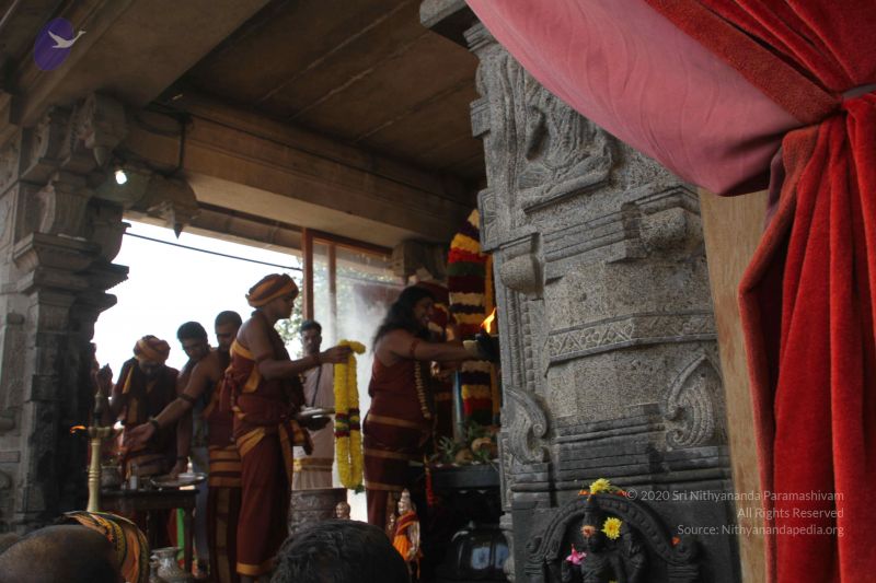 File:20150113 Photo 3478 1UoIUtc9ez8LHxyy4w7MGzE1SWAmITucW.JPG