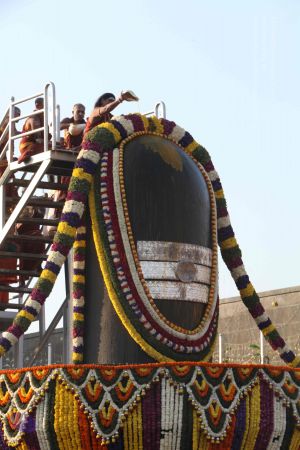 20150217 Photo 1126 1ho9o8Iuq3JjlW0-XpMOpQxZRY0EsFrWx.JPG