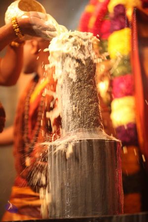 20150217 Photo 2164 1sla9j6wVcWGrEMx4kGutnr67mjDz4ZrW.JPG