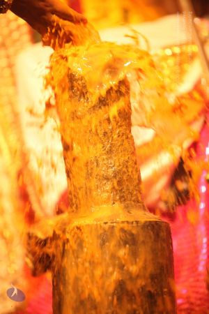 20150217 Photo 2472 16z23qXA68Cy45TG4gS3UxZWf7Hgso-D2.JPG