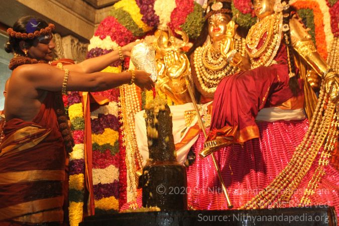 20150219 Photo 1426 1TGDb2dvhpaynsCbuFuI6UZcqvjUlXA4S.JPG