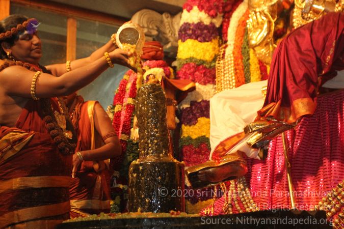 20150219 Photo 1447 1fdohUYOoEREbuon3qA0rzRlQ8duBTngz.JPG