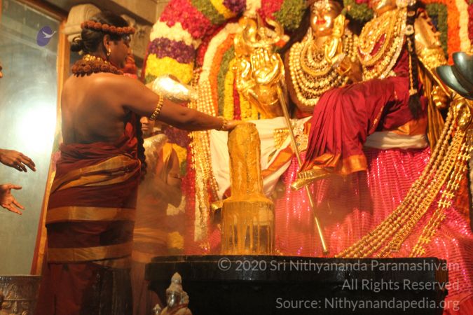 20150219 Photo 1515 1kDF1KCJxN37SOG3RjTb8P3aoPVs0Eyeb.JPG