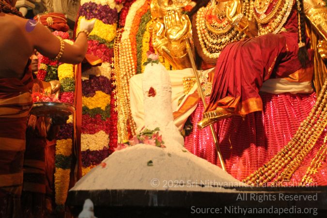 20150219 Photo 1545 1L3XITiwT4HFcmIJqOLoWfb0TEp591NRm.JPG