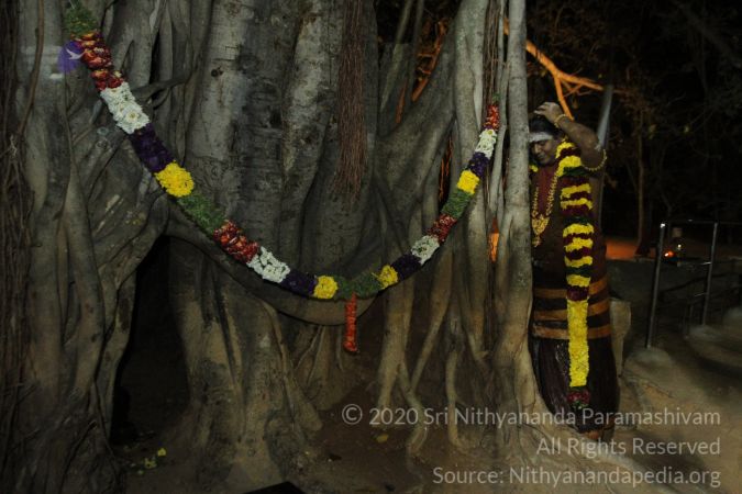 20150219 Photo 1628 17OlygyTgVxrAuPrQ4xqIk3jSIbLMGt8h.JPG