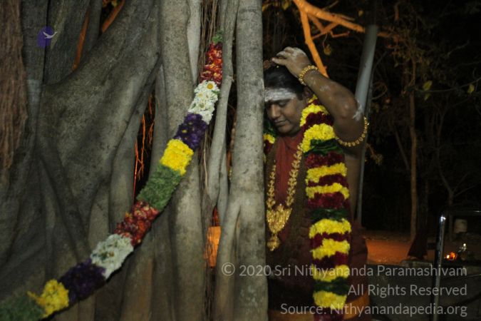 20150219 Photo 1629 1-nuGcMADKXSTnGzkGDncB2jNPc69sZHh.JPG