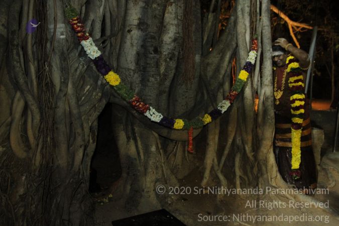 20150219 Photo 1630 1ON1h1W9JWmM BZVsZ92viOuBXKvFwQF4.JPG