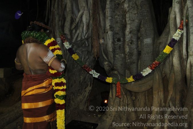 20150219 Photo 1631 1uAU35YGIvHbUS0VL eSLIOVRALqMHKGa.JPG