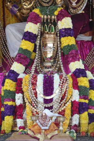 20150219 Photo 1663 1TR89XgwOxl4 uSnv r9PYd4cQ3QoZGaO.JPG