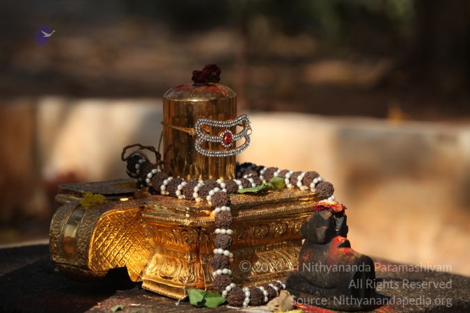 20150219 Photo 1690 1hsXtxo1oreGQf3Ai74-C921RSqO3joT9.JPG