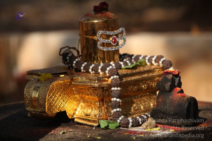 20150219 Photo 1691 1Zt 0boj1VroZFHL53hDuJ1AeUymH6 SM.JPG