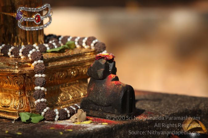 20150219 Photo 1692 1taMy8ZbdtrAX2DDuU32xi0XhKzgxqYoP.JPG