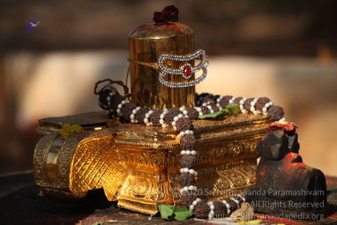 20150219 Photo 1693 15pBL5SQNUcmTtIoe4YZzELkiKuPMxf65.JPG