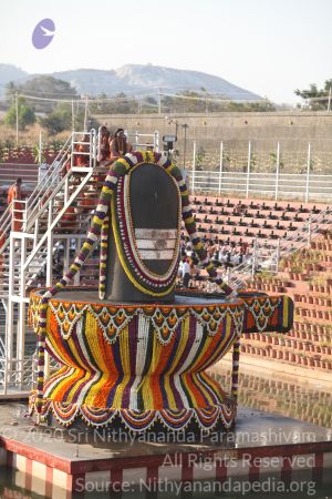 20150219 Photo 1795 1thlGAhEkMsTPqqx2qTWuMZIpr5YYPBfW.JPG