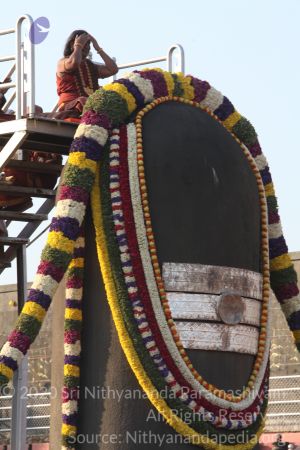 20150219 Photo 1803 1fSeo6ak9d5VPnSQEL3ELPq2vWFu2O IZ.JPG