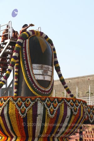 20150219 Photo 1832 1tCmZ5T6e-MYLC9Wak3rkg3-eMM Uc8tj.JPG