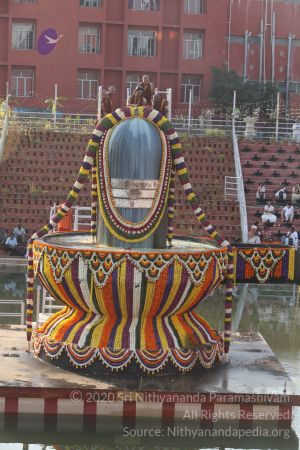 20150219 Photo 1862 1bin4r9iFP3nTBA-eDaJT3UT5RLe7zYEH.JPG