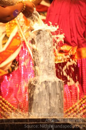 20150219 Photo 2915 1DD1smDV3X2qCEbeUE0c33o0V7VjRi5CT.JPG