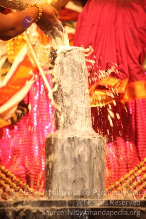 20150219 Photo 2916 1YJvIkw38VqB8kphHTepw9tIy2-ZkiHSO.JPG