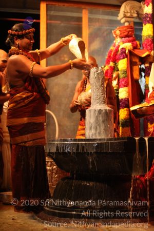 20150219 Photo 2939 1XN0aIPbJA6ZVWjj1p9mhNwql20RX5QpS.JPG