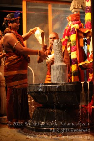 20150219 Photo 2940 1TQLvVfG2t9Ux0Kwp4f81KnmkANS4RVOZ.JPG