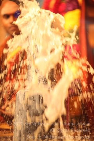 20150219 Photo 2986 1W5Ea7GX8Jm0k9fQWh59U2DdDxDlo06jH.JPG