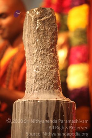 20150219 Photo 2987 1rz9Q32g2sJ ADzeytGiU9OXaXUHDxyw .JPG