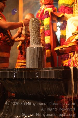 20150219 Photo 2989 1xouNITO96-XEwtnLyrkh8qe641bQaS4B.JPG