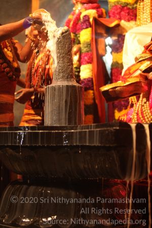 20150219 Photo 2990 1lOvNI41hF7RYEpPH8QXX5aaoGqCtilvk.JPG