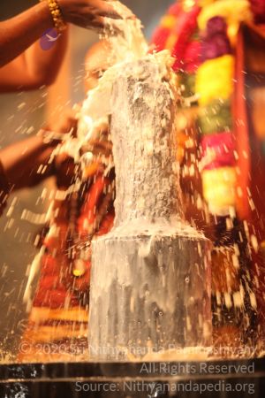 20150219 Photo 2992 1FpecAgOLSzNbACddJULUNJUy-wMhuPvs.JPG