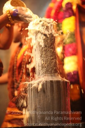 20150219 Photo 2995 1cSBTrUgXeTPurVM0jAZ4XEq8VIOSIeRC.JPG