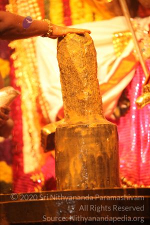 20150219 Photo 3022 1TzPHkt1ZcsCqnGxUpTSr3 1fUfFiQxxy.JPG