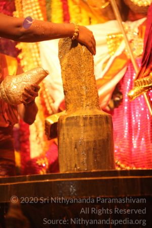 20150219 Photo 3024 1tmseFgrN46JG-0WNcHGT1PhyL1WU8p8q.JPG