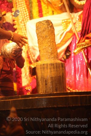 20150219 Photo 3026 1Q6QNv1fUh8DtzPqCbZAXRZ95MK8qJoue.JPG